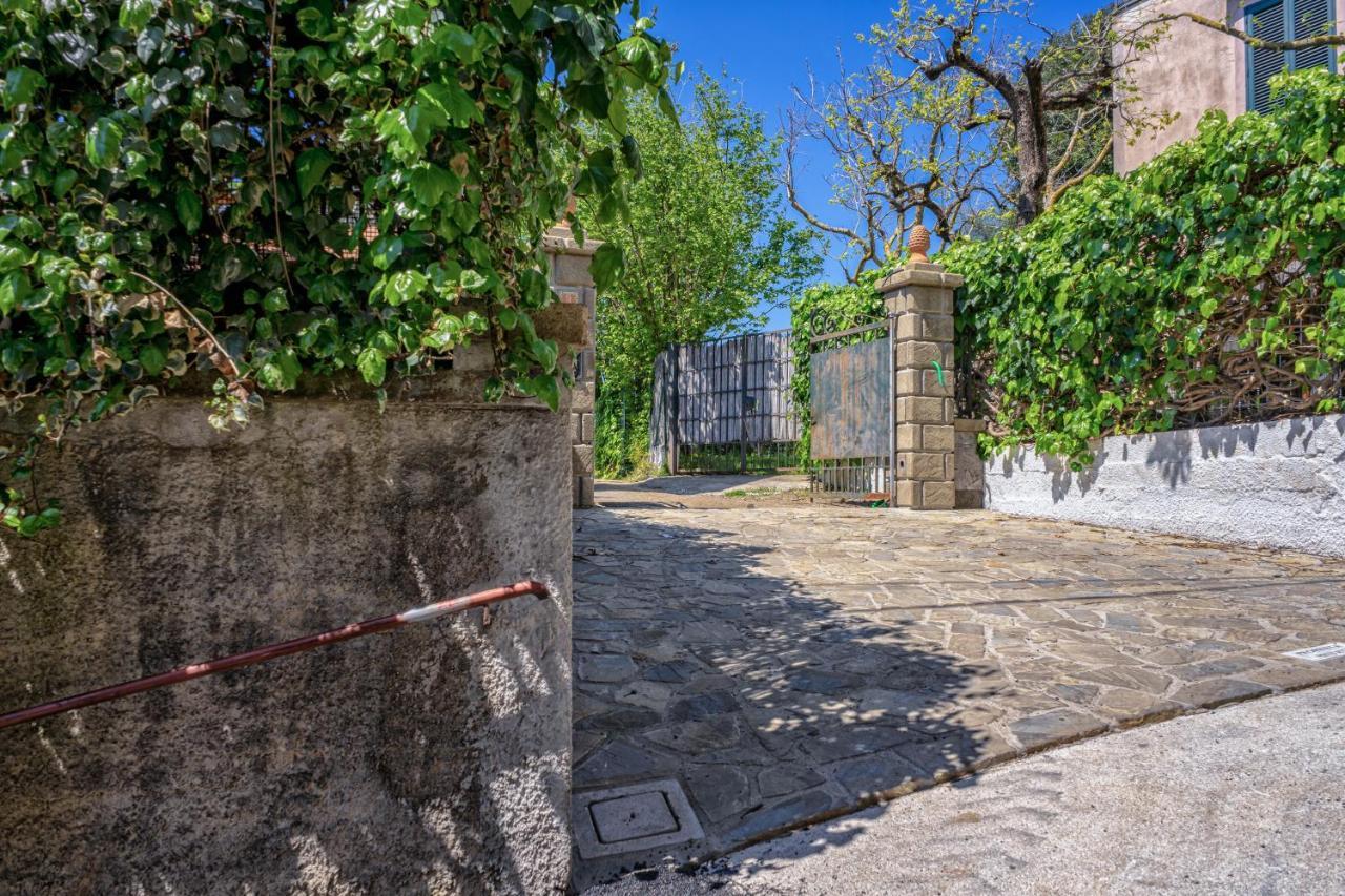 Albero Di Giada Villa Маса Лубрензе Екстериор снимка